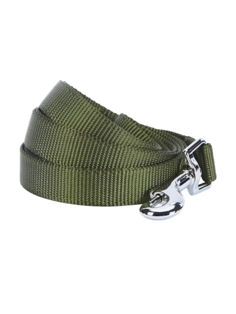 Blueberry Pet Essentials Small Dog Leash 5' x 5/8